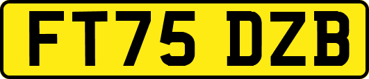FT75DZB