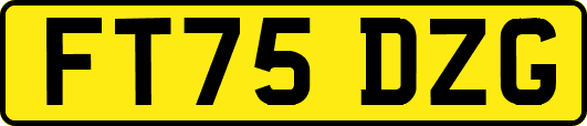 FT75DZG