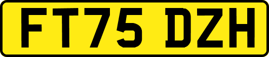 FT75DZH