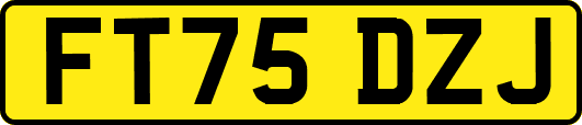 FT75DZJ
