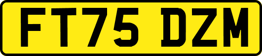 FT75DZM