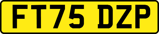 FT75DZP