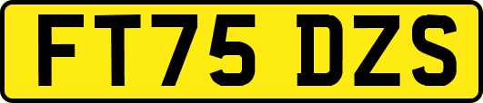 FT75DZS