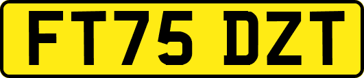 FT75DZT