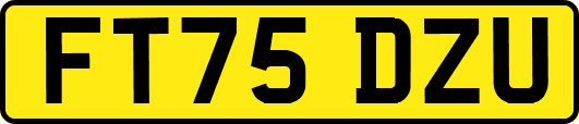 FT75DZU
