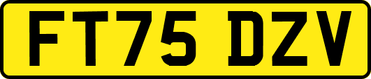 FT75DZV