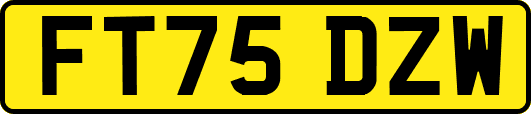 FT75DZW