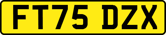 FT75DZX