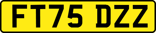FT75DZZ