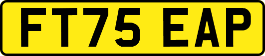 FT75EAP