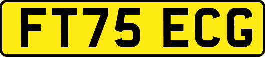 FT75ECG