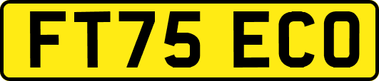 FT75ECO