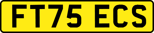 FT75ECS
