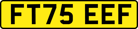 FT75EEF