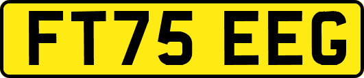 FT75EEG