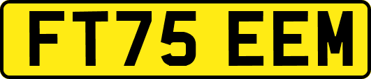 FT75EEM