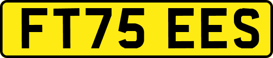 FT75EES
