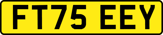FT75EEY