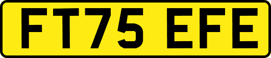 FT75EFE
