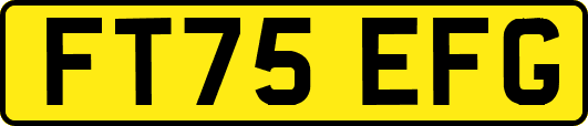 FT75EFG
