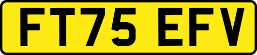 FT75EFV