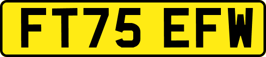 FT75EFW