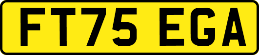 FT75EGA