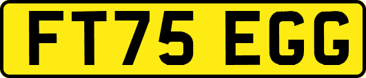 FT75EGG