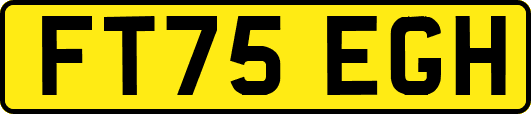 FT75EGH
