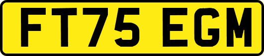 FT75EGM
