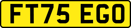 FT75EGO