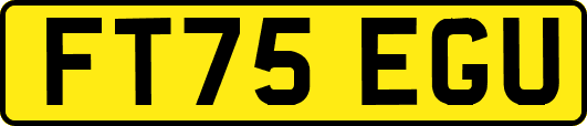 FT75EGU