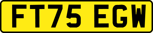 FT75EGW