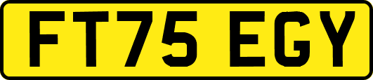 FT75EGY
