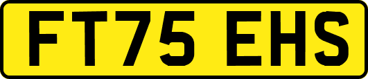 FT75EHS