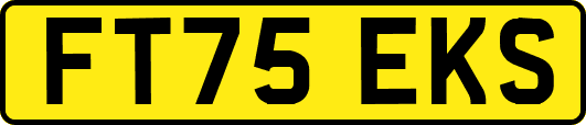 FT75EKS