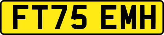 FT75EMH