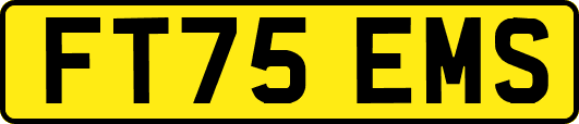 FT75EMS