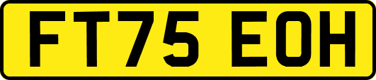FT75EOH