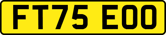 FT75EOO