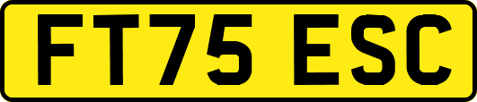 FT75ESC