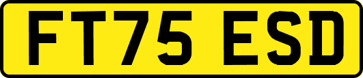 FT75ESD