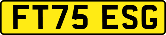 FT75ESG