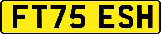 FT75ESH