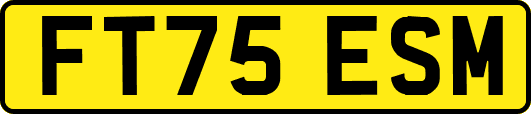 FT75ESM