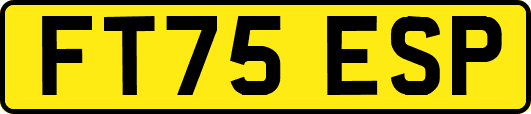 FT75ESP