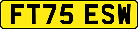 FT75ESW
