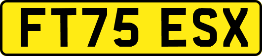 FT75ESX
