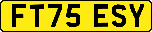 FT75ESY