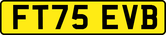 FT75EVB